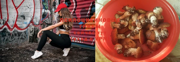 ешки Иннополис