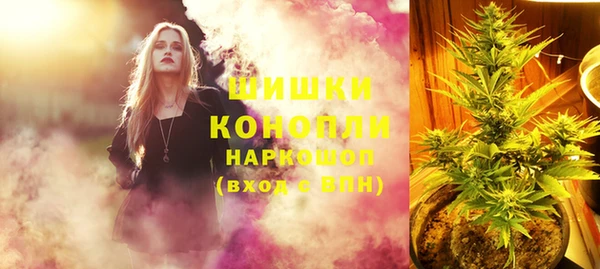 ешки Иннополис