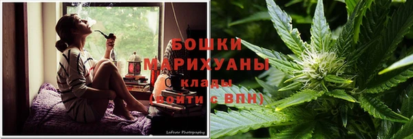 спиды Инсар