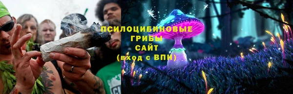 таблы Инта