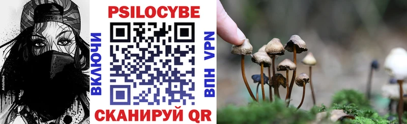 Купить где  Родники  Галлюциногенные грибы прущие грибы 
